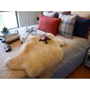 China Faux Sheepskin Rug and Carpet - China Supplier