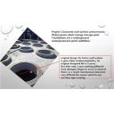 China Concrete anti corrosion paint Industrial sewage chemical sewage treatment waste water treatment facility equipment anticorrosion paint   High Penetrating Modified Fluorosilicone polyester,industrial Polyurethane Main Raw Material and Liquid Coating State  - China Supplier