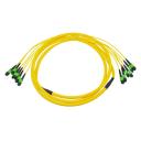 China MTP/MPO TRUNK CABLE ASSEMBLIES - China Supplier