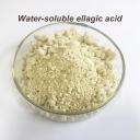 China Pomegranate Extract White Fine Powder 40% Water Soluble Ellagic Acid - China Supplier