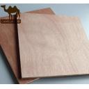 China Best price commercial plywood for decoration - China Supplier