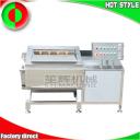 China Multifunctional meat ribs washing machine ozone fruit and vegetable cleaning machine - China Supplier