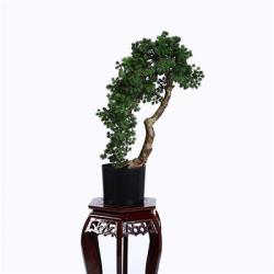 China Artificial Buddhist Pine Tree Bonsai - China Supplier