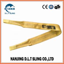 China polyester webbing sling 3Ton,  According to CE,GS standard,  TUV Approved. SF 7:1 - China Supplier