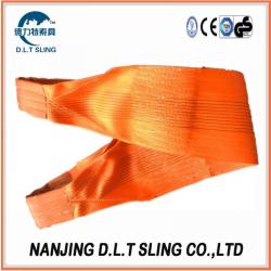 China polyester webbing sling 10Ton,  According to CE,GS standard,  TUV Approved. SF 7:1 - China Supplier