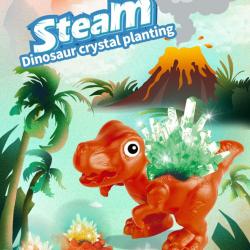 China Steam Dinosaur Crystal planting - China Supplier