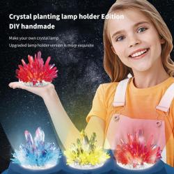 China Crystal Planting lamp holder Edition DIY handmade - China Supplier