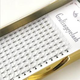 China Premade volume fans 5d/3d/6d/10d eyelash extension - China Supplier