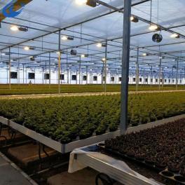 China Hot Sale Greenhouse Rolling Benches Ebb and Flow Table for Commercial Agriculture - China Supplier
