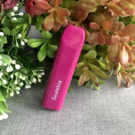 China 300 Puffs Pre-Filled Disposable Vape Device - China Supplier