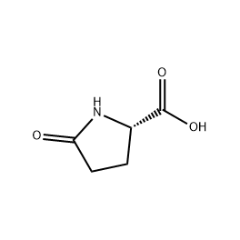 China L-Pyroglutamic acid - China Supplier