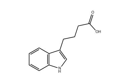 3-吲哚丁酸