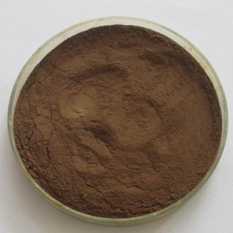 桑叶提取物桑叶黄酮10%