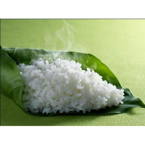 即热型方便米饭生产线