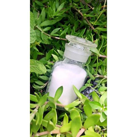 PE蜡801   PE WAX -801