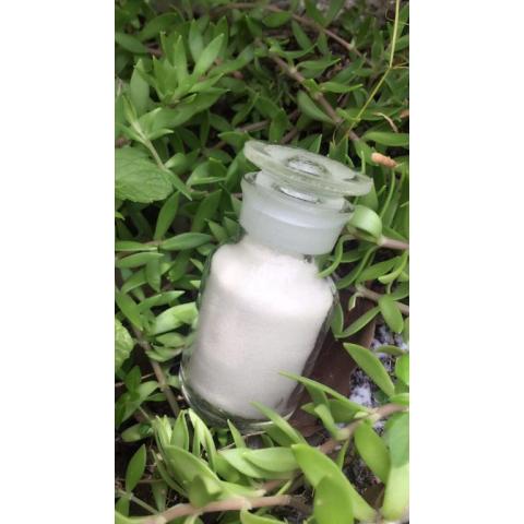 聚乙烯蜡   PE WAX -301