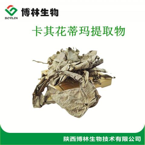 卡其花蒂玛提取物