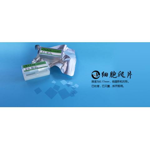 12孔圆形细胞爬片细胞贴壁盖玻片20mm爬片