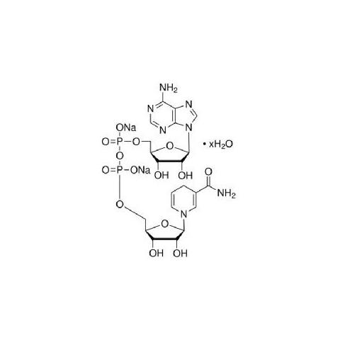 β-烟酰胺腺嘌呤二核苷酸二钠盐水合物（还原型）NADH