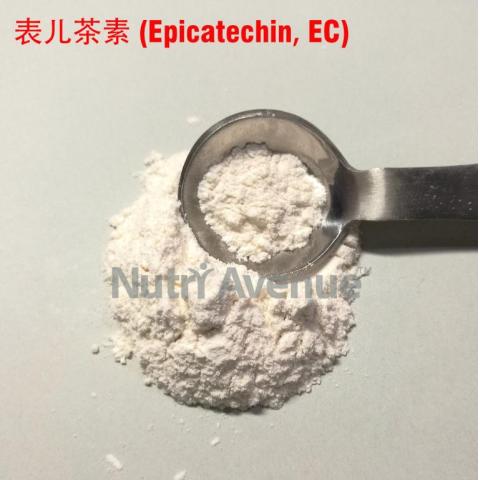 表儿茶素 (Epicatechin、EC)