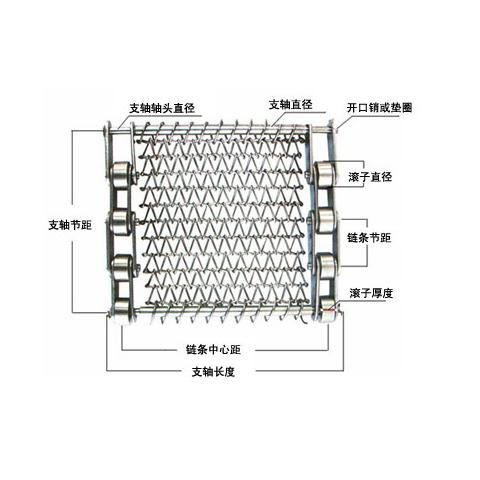 链条网带