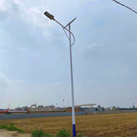 新农村太阳能路灯6米高金豆太阳能路灯