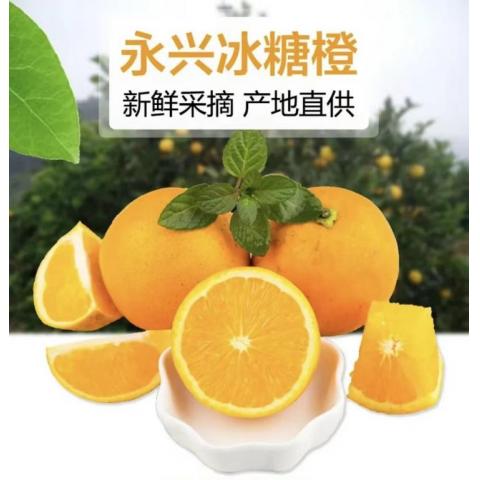 预售-永兴冰糖橙10斤装（中果）