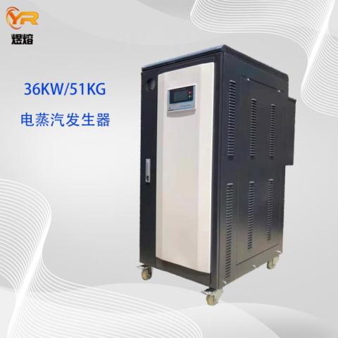 反应釜供汽用36KW全自动电蒸汽发生器