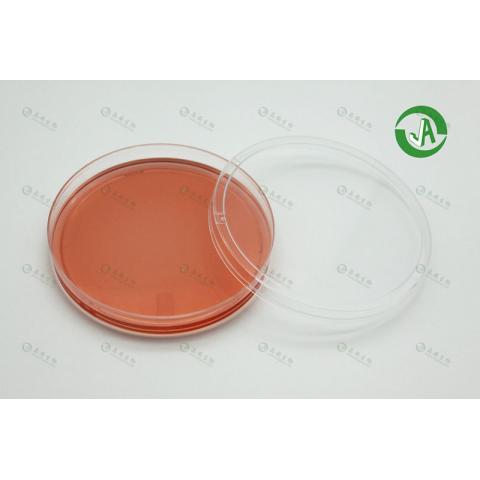 PLL多聚赖氨酸/明胶/I型胶原蛋白包被细胞培养皿