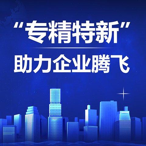 专精特新企业申报