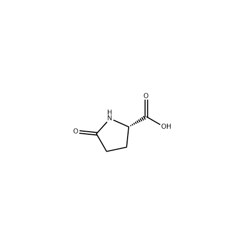 L-焦谷氨酸