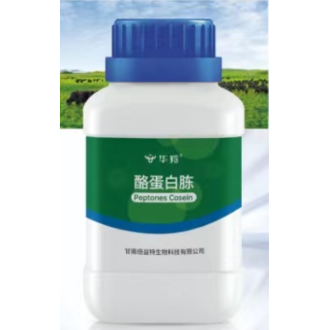 乳酪蛋白胨（Peptones Casein）