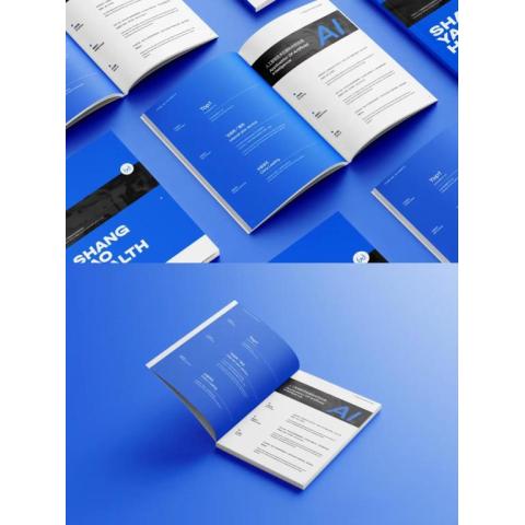 qd蓝色系工业画册设计案例分享定制