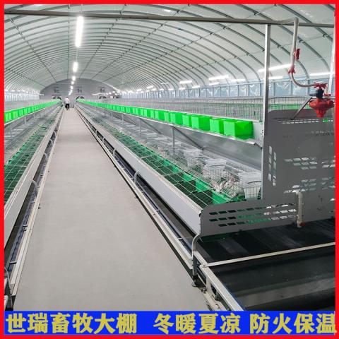 肉兔养殖大棚搭建
