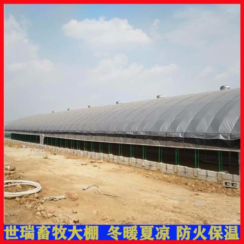 建设养鹅大棚