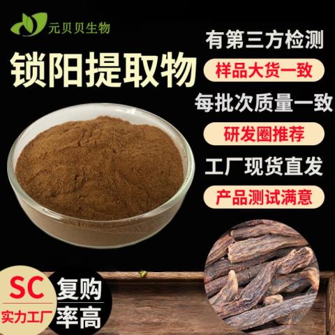 SC实力工厂行业精下锁阳粉30:1现货原料散装批发锁阳提取物包邮