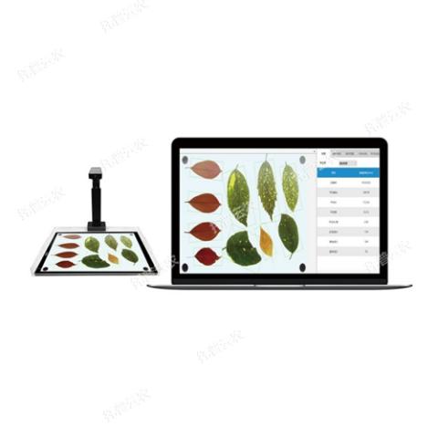 YMJ-PC植物图像分析仪叶面积仪