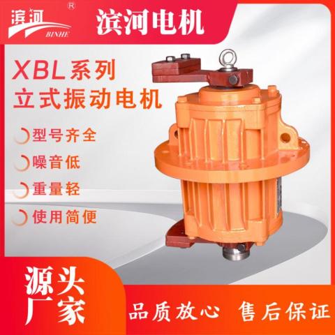 XBL系列法兰式立式振动电机
