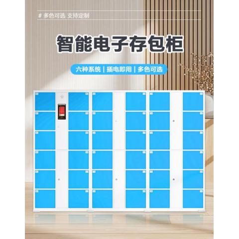 商场超市存包柜 智能储物寄存 支持全国发货 15年定制经验 靠谱
