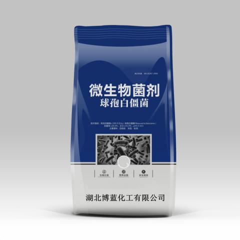 白僵菌（球孢白僵菌）杀虫剂