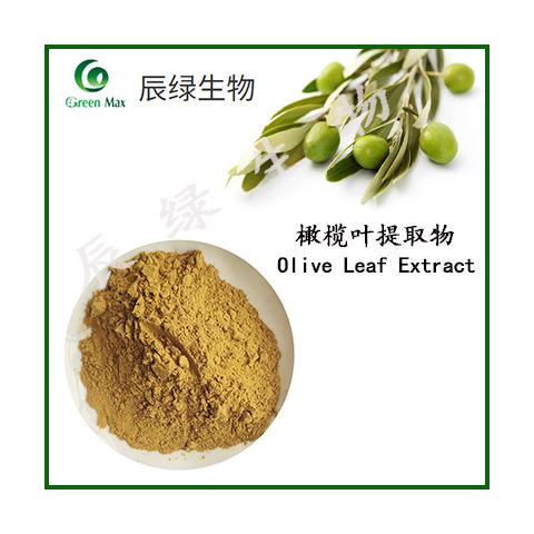 橄榄苦甙70%