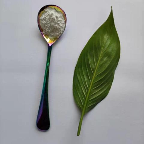 硅包覆处理金红石氧化钛（CY-T06H）在涂料中的应用