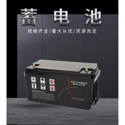 施耐德蓄电池M2AL12v-65AH代理商报价