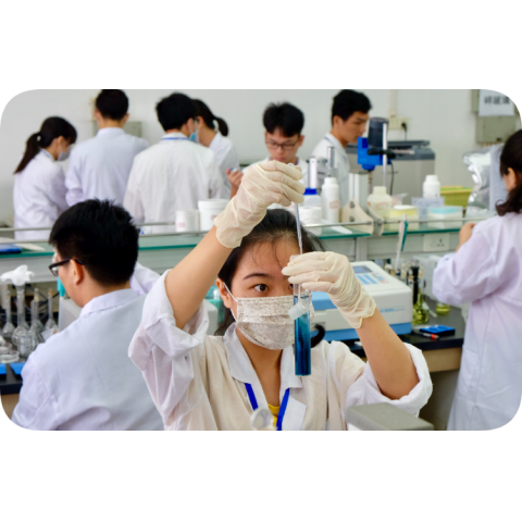 固體增塑劑ROHS2.0 十項