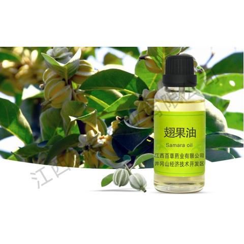 翅果油