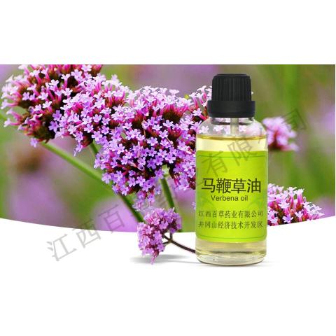 馬鞭草油