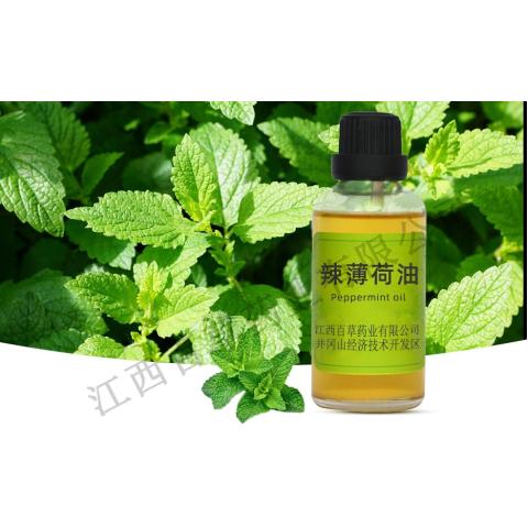 辣薄荷油