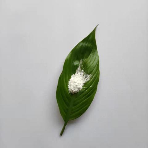 伽马氧化铝（CY-LY10）能净化汽车尾气吗？
