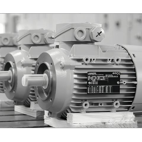 LAMMERS普通電機(jī)