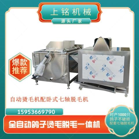 小型全自動鴿子燙毛脫毛一體機